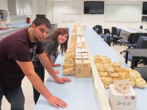 Scott Hatfield Kennedy McLean in WLU anatomy lab