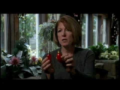 youtube placeholder image